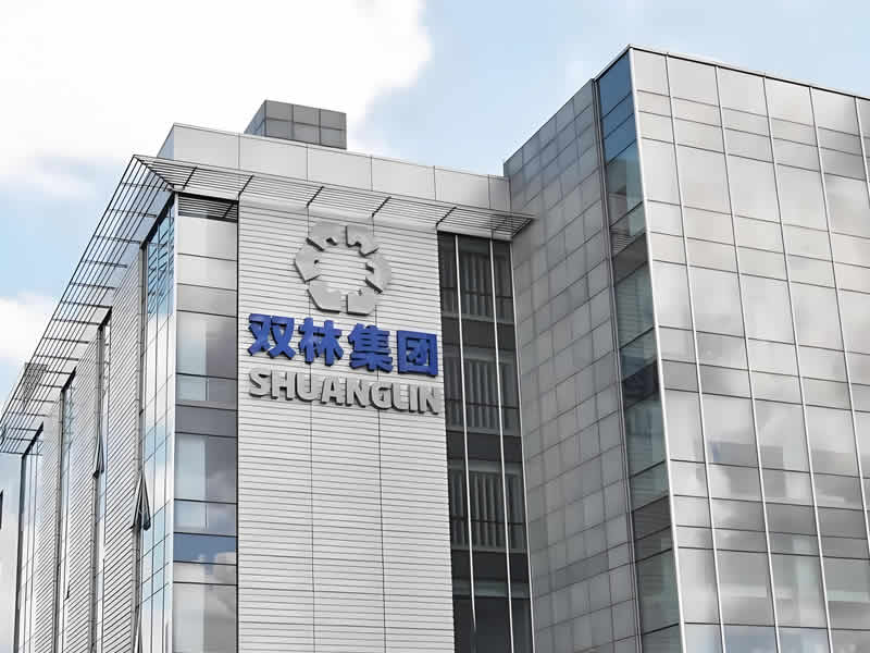 寧波雙林汽車部件股份有限公司