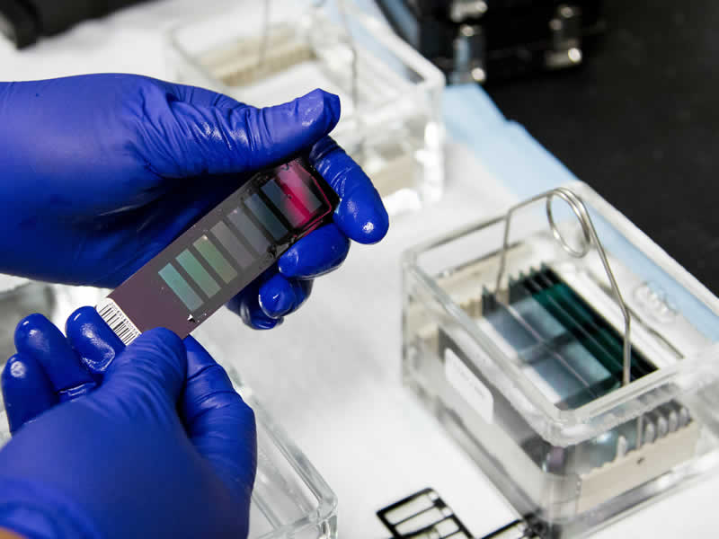 上海必諾檢測技術服務有限公司